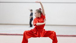 В Челябинске появился первый мастер спорта по ушу